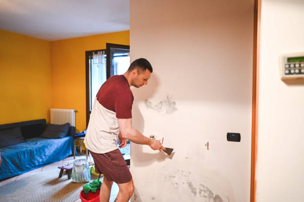 Best Residential Mold Remediation in Winton, CA